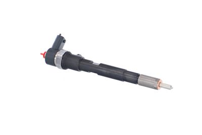 INJECTOR REMANTE 002003000145R 46