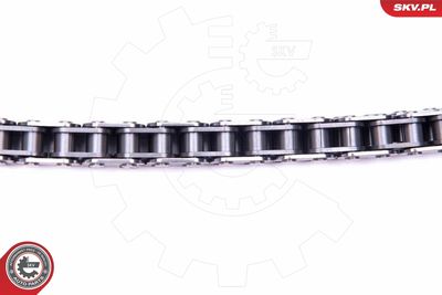 Timing Chain Kit 21SKV110