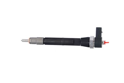INJECTOR REMANTE 002003001084R 14