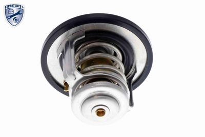 TERMOSTAT LICHID RACIRE ACKOJA A38990003 8