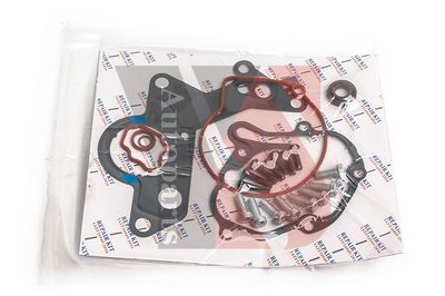 Reparatursatz, Unterdruckpumpe (Bremsanlage)