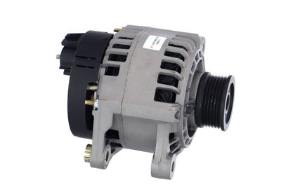 GENERATOR / ALTERNATOR REMANTE 011003000013R 46