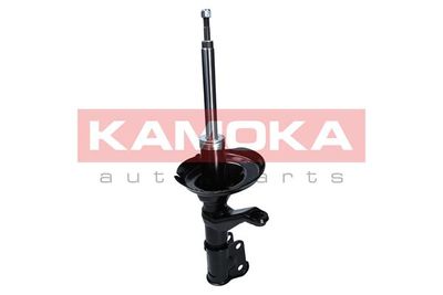 Shock Absorber 2000672