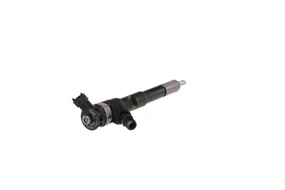 INJECTOR REMANTE 002003001494R 36