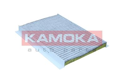 Filter, cabin air 6080134