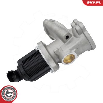 AGR-Ventil ESEN SKV 14SKV314