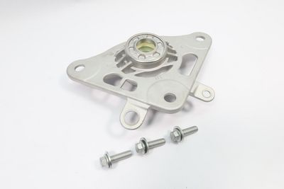 FEDERBEINSTüTZLAGER