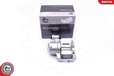 Brake Caliper 42SKV132