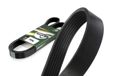 Pasek klinowy wielorowkowy BGA 7PK1165E