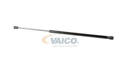GASFEDER KOFFER-/LADERAUM VAICO V249654 39