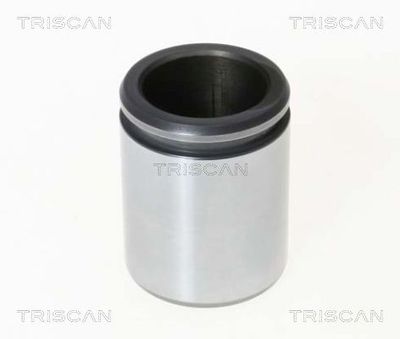 TRISCAN 8170 234229 Комплект направляющей суппорта  для IVECO (Ивеко)
