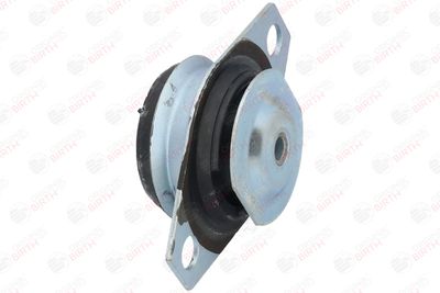 SUPORT MOTOR BIRTH 50043 11