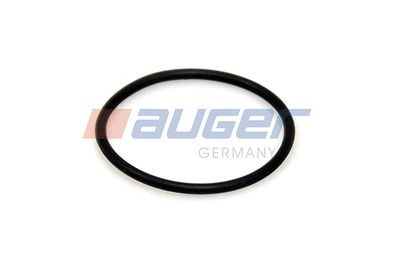 Brake shoe o-ring (30mm x 1,8mm) past: RVI