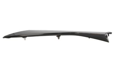 Bumper valance