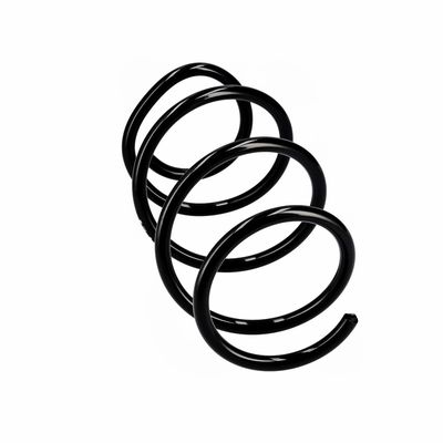 ARC SPIRAL EIBACH R10723 12