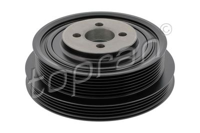 FULIE CUREA ARBORE COTIT