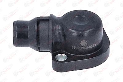 FLANSA LICHID RACIRE BIRTH 81108 5