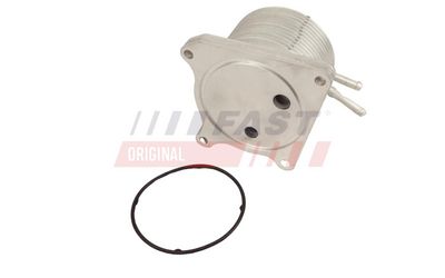 RADIATOR ULEI ULEI MOTOR FAST FT01016 1
