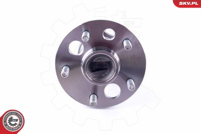 Wheel Bearing Kit 29SKV364