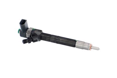 INJECTOR REMANTE 002003000141R 45