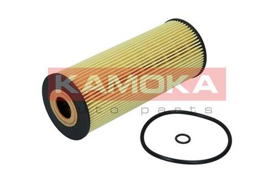 KAMOKA F100601 Масляный фильтр  для CHEVROLET  (Шевроле Еqуиноx)