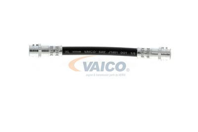 FURTUN FRANA VAICO V104114 2