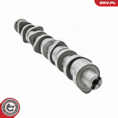 SET AX CU CAME ESEN SKV 80SKV304 3