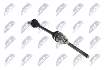 PLANETARA NTY NPWMS086 13