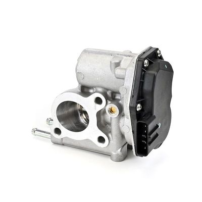 SUPAPA EGR DELPHI EG1062412B1 15