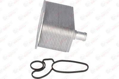 RADIATOR ULEI ULEI MOTOR BIRTH 80308 10