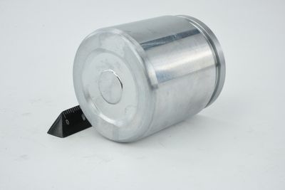 PISTON ETRIER FRANA FEBEST 0176MNH10R 20