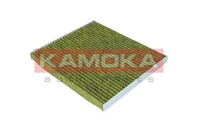 Filter, cabin air 6080086