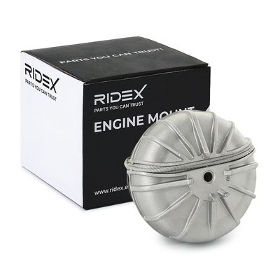 окачване, двигател RIDEX