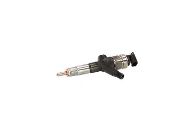 INJECTOR REMANTE 002003001148R 65