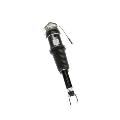 LUFTFEDERBEIN Arnott AS3031 57