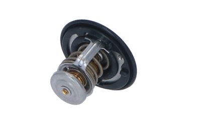 TERMOSTAT LICHID RACIRE NRF 725143 31