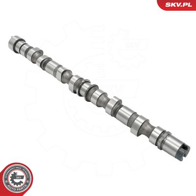 Vačkový hřídel ESEN SKV 80SKV018