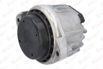 SUPORT MOTOR BIRTH 52151 10