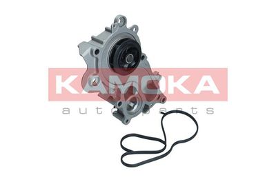 Water Pump, engine cooling T0286