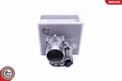 Throttle Body 12SKV088