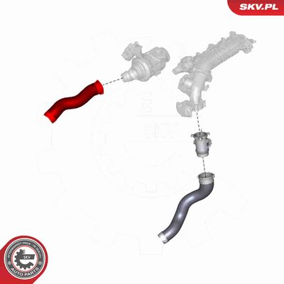 FURTUN EAR SUPRAALIMENTARE ESEN SKV 24SKV998 3