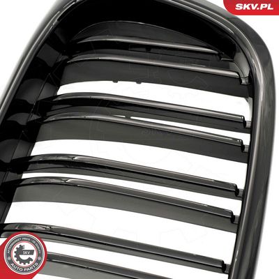 GRILA RADIATOR ESEN SKV 66SKV161 5