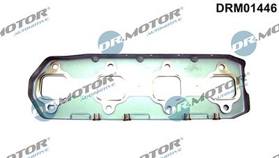 Těsnění, kolektor výfukových plynů LIZARTE DRM01446