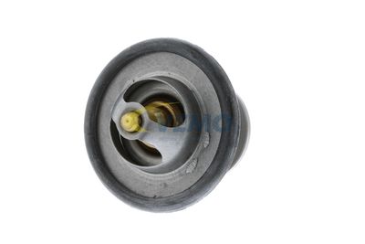 TERMOSTAT LICHID RACIRE VEMO V25991721 28