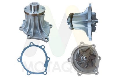 POMPă DE APă RăCIRE MOTOR