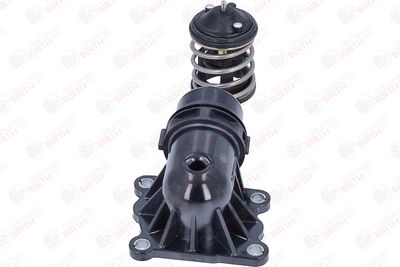 FLANSA LICHID RACIRE BIRTH 81102 10