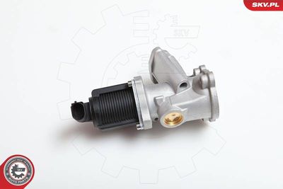 EGR Valve 14SKV031