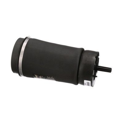 LUFTFEDER FAHRWERK Arnott A2831 41