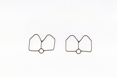 DICHTUNG ANSAUGKRüMMER