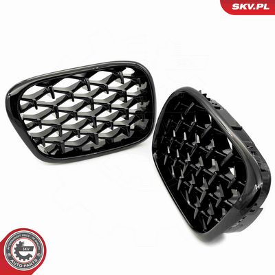 GRILA RADIATOR ESEN SKV 66SKV164 4